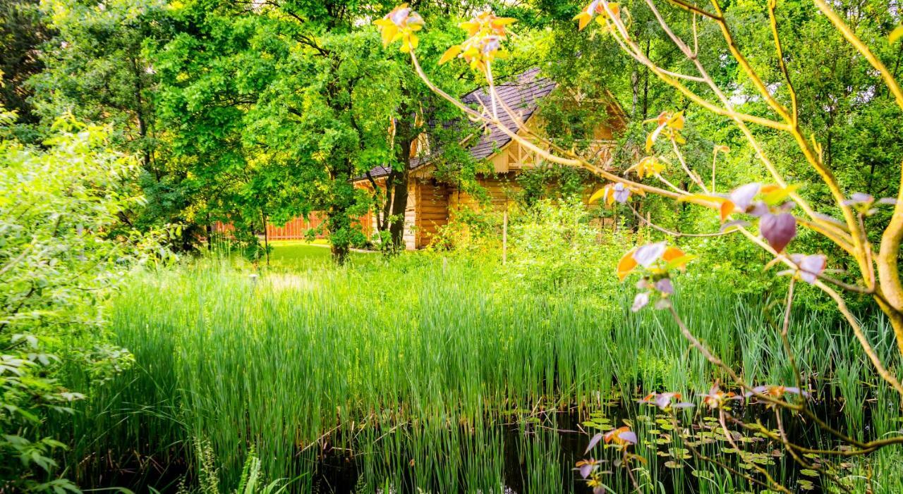 Sucholand Villa Miedziana Gora Exterior photo