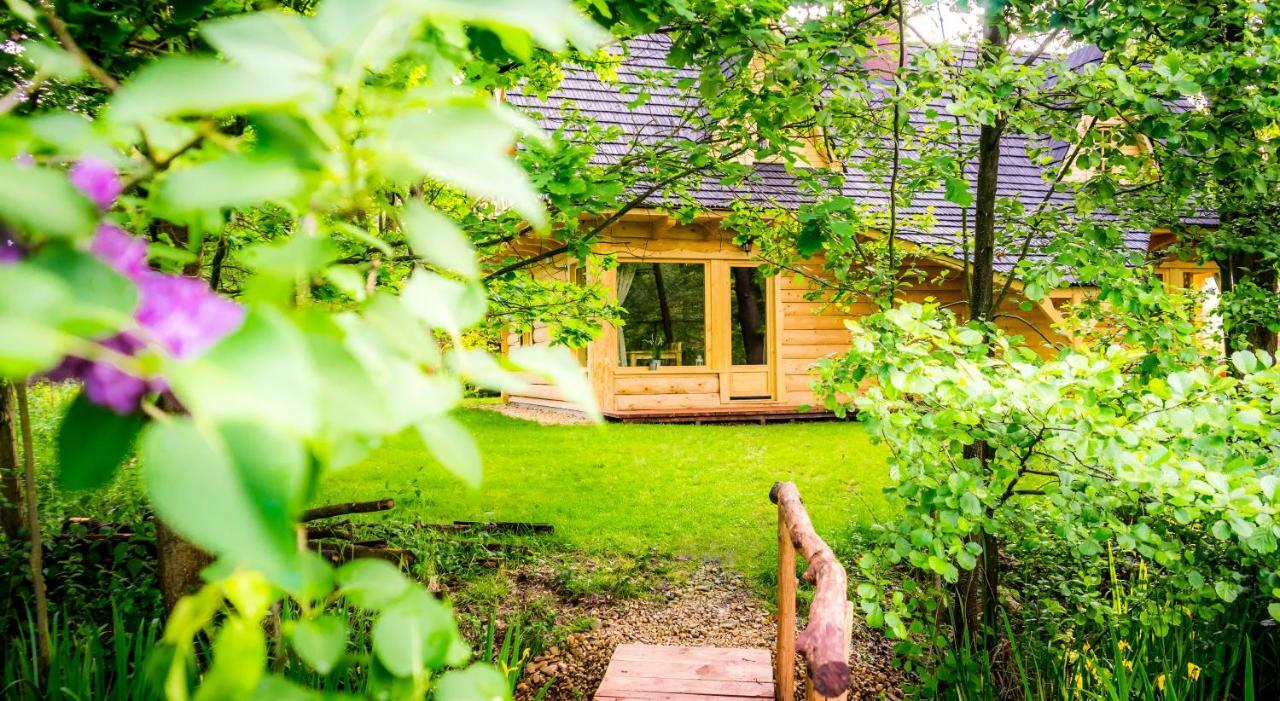Sucholand Villa Miedziana Gora Exterior photo